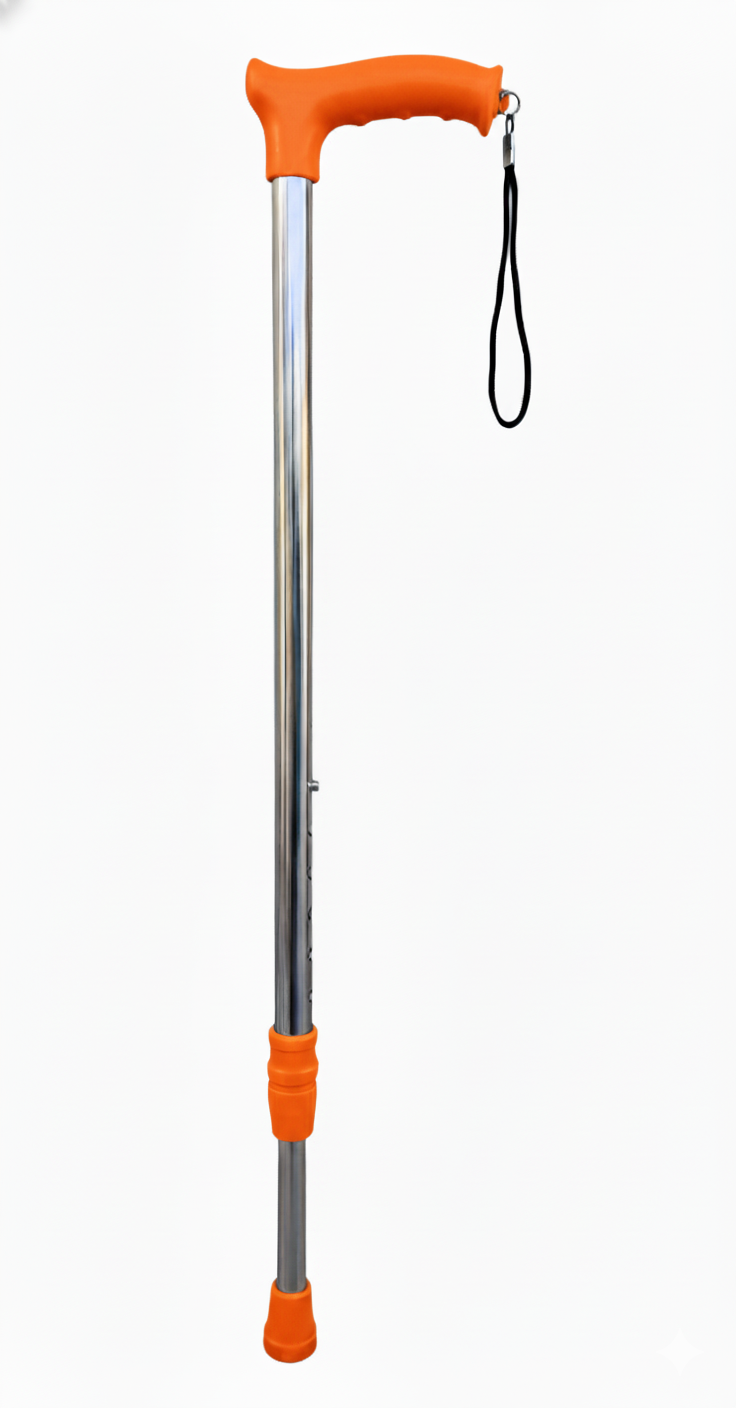 Walking Sticks MS Icon