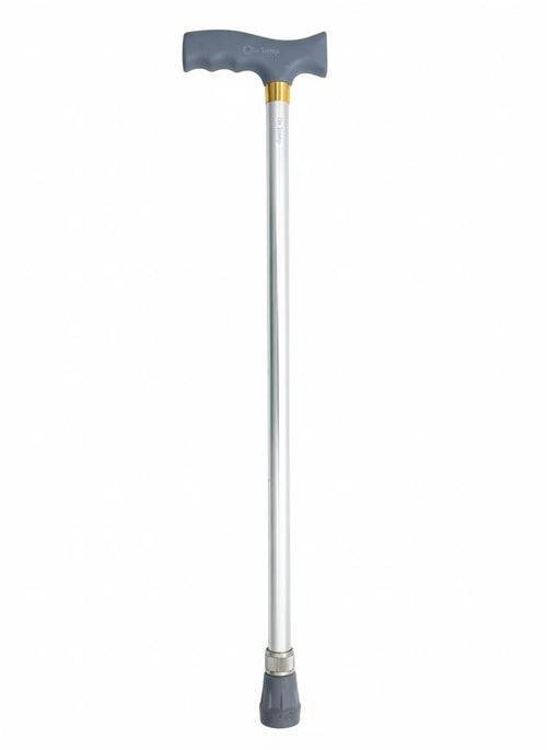Alu Walking Stick